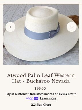 Atwood Palm Leaf Western Hat in Cream with Grey Band